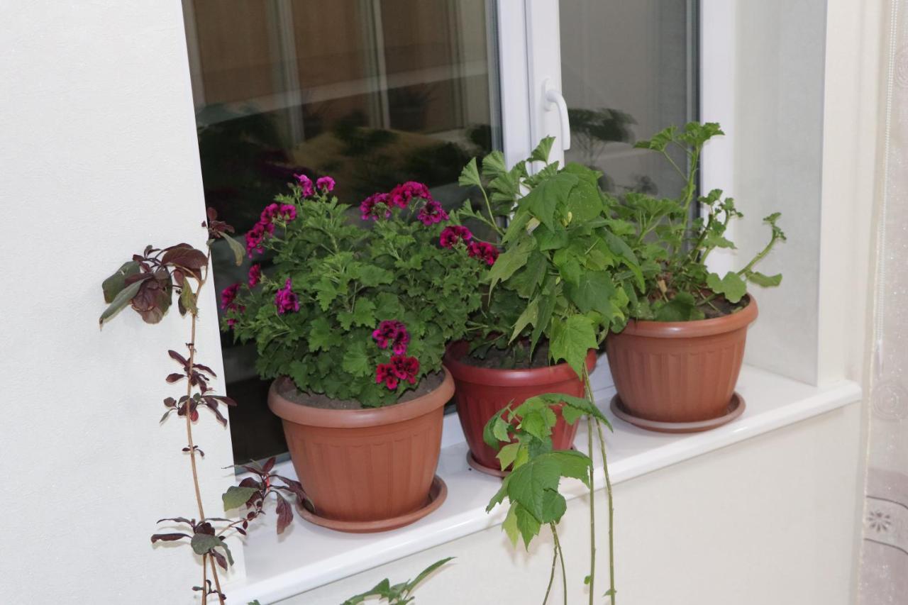 Guest House Semetei Bokonbayevo Екстериор снимка